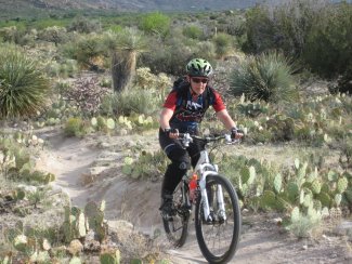 Linda entour&eacute;s de cactus