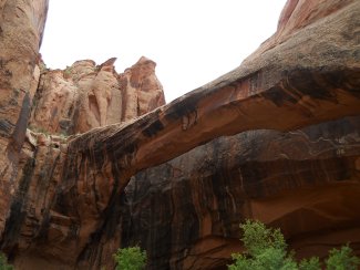 Arche