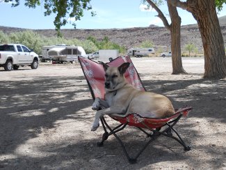 Chica sur sa chaise pr&eacute;f&eacute;r&eacute;e