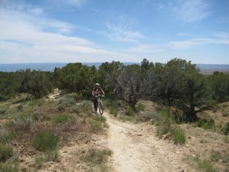mont&eacute;e avec quelques arbres, &ccedil;a fait changement...