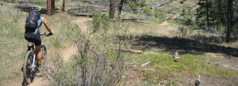 Singletracks, singletracks, singletracks...